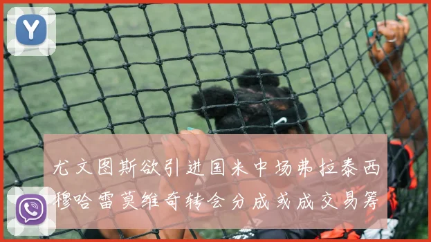 尤文图斯欲引进国米中场弗拉泰西穆哈雷莫维奇转会分成或成交易筹码